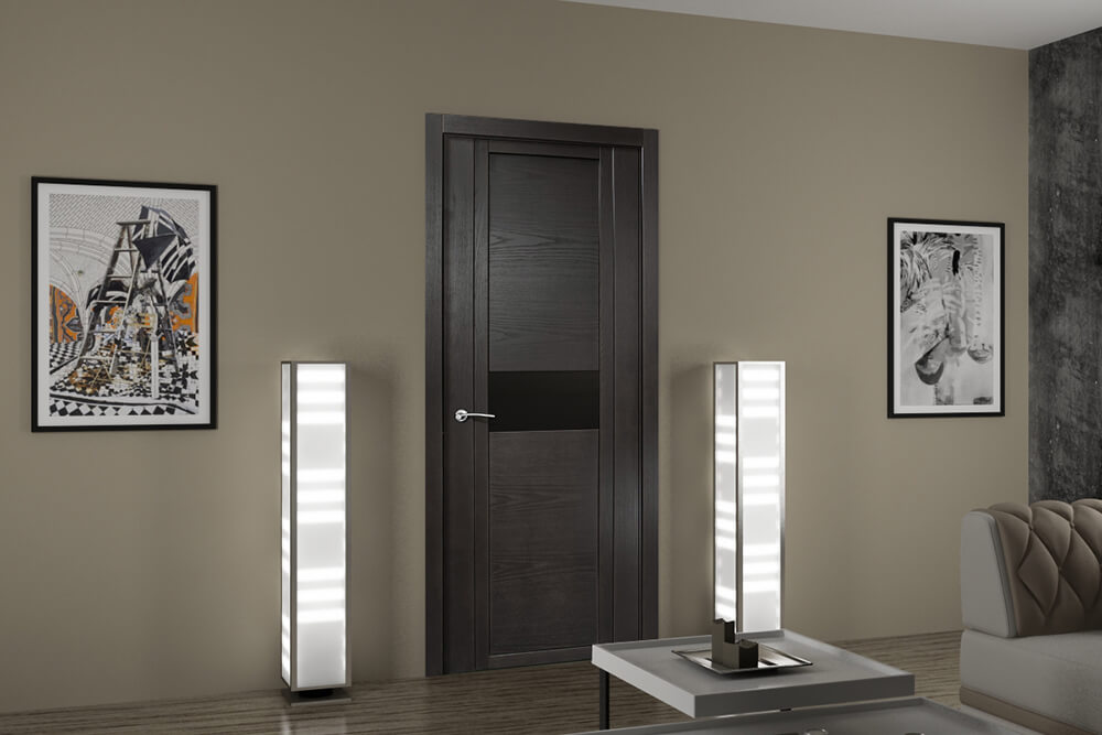 Современная темная дверь комнаты